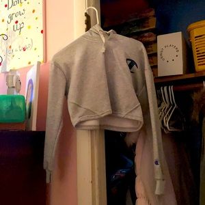 Champion hoodie